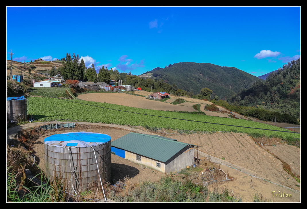 JH1A0628.jpg - 20151205 合歡溪步道、108K楓之谷