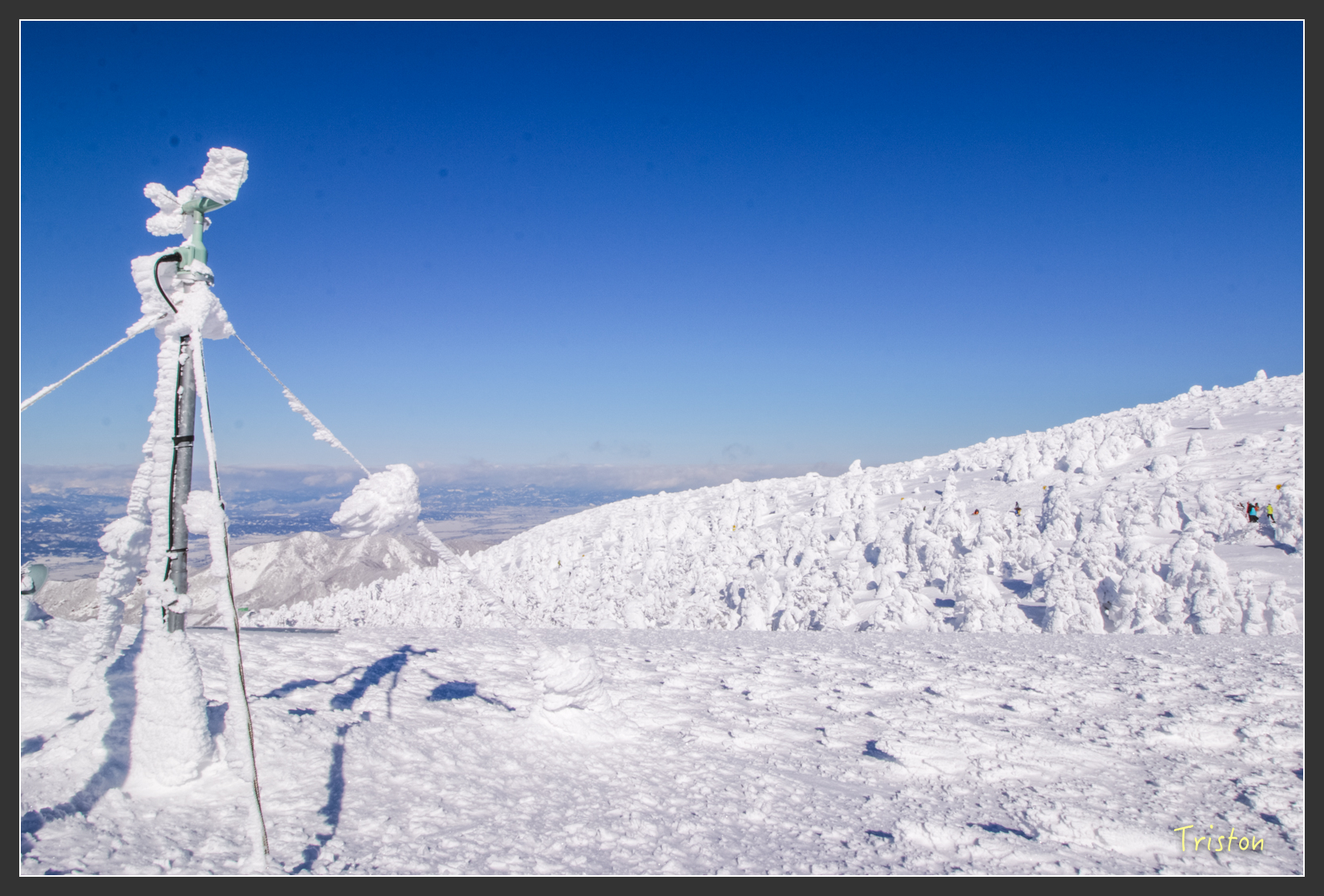 2016ZAO-01664.jpg - 20160131 日本藏王溫泉滑雪親子行