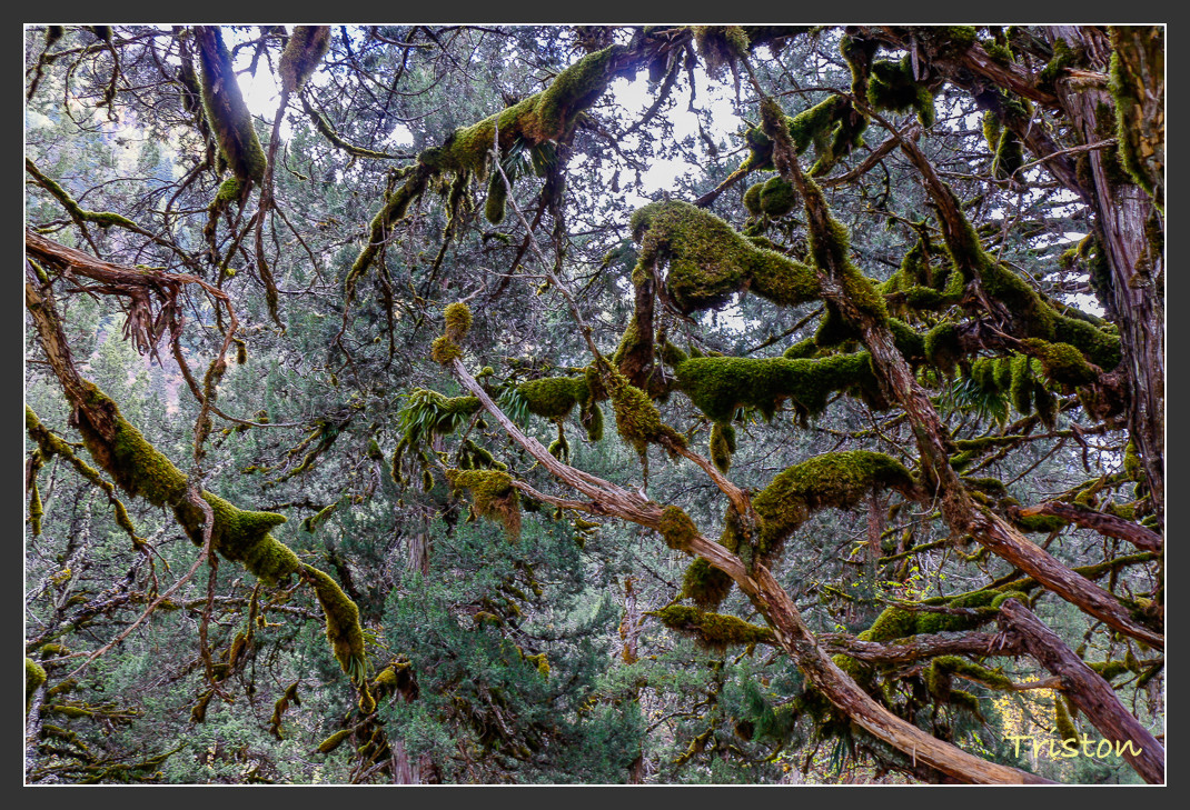 _MG_1032.jpg - 20161013 稻城亞丁