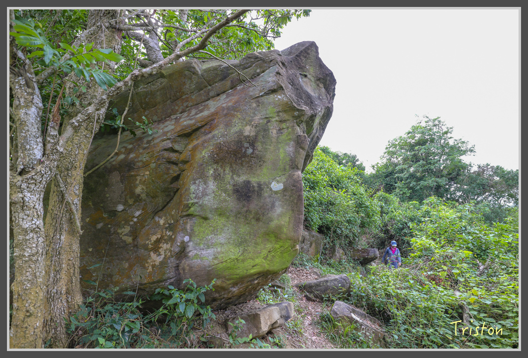 IMG_1947.jpg - 20161130 高雄旗尾山