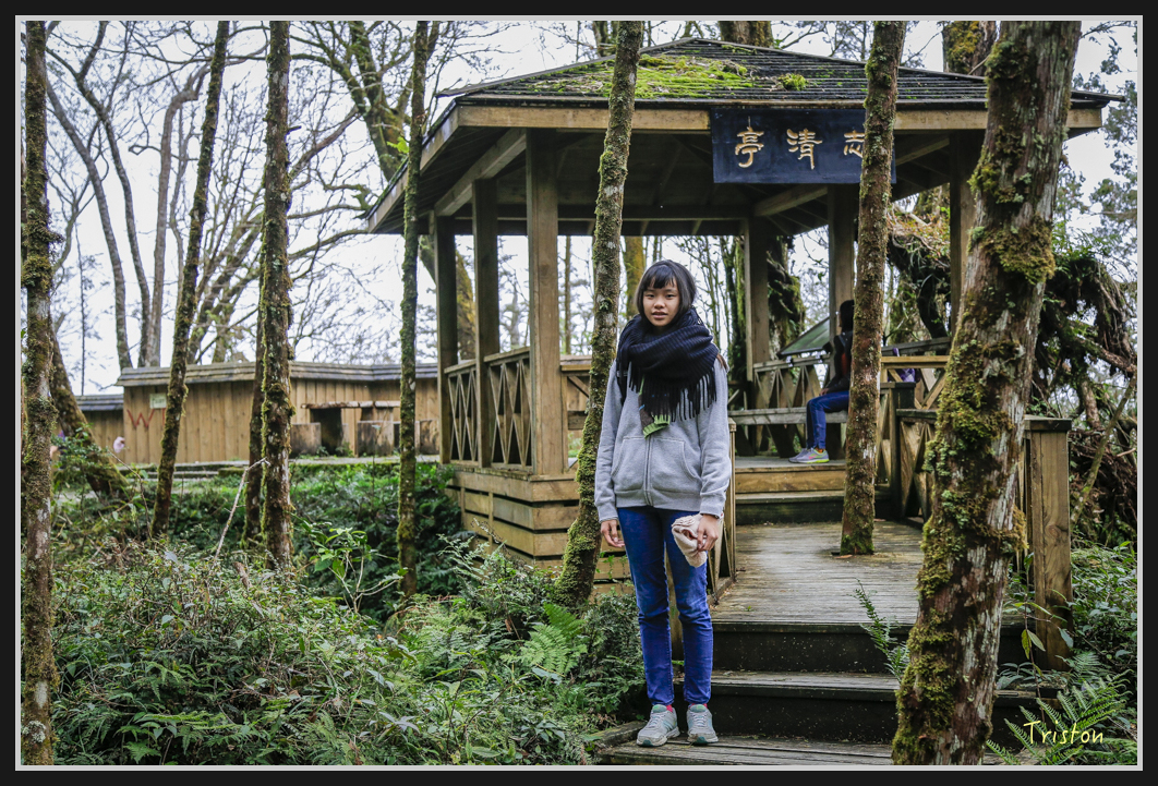 00130.jpg - 20161231 明池 神木園