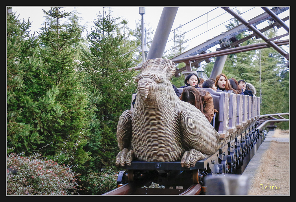 Canon-730.jpg - 20170120 大阪神戶親子遊 