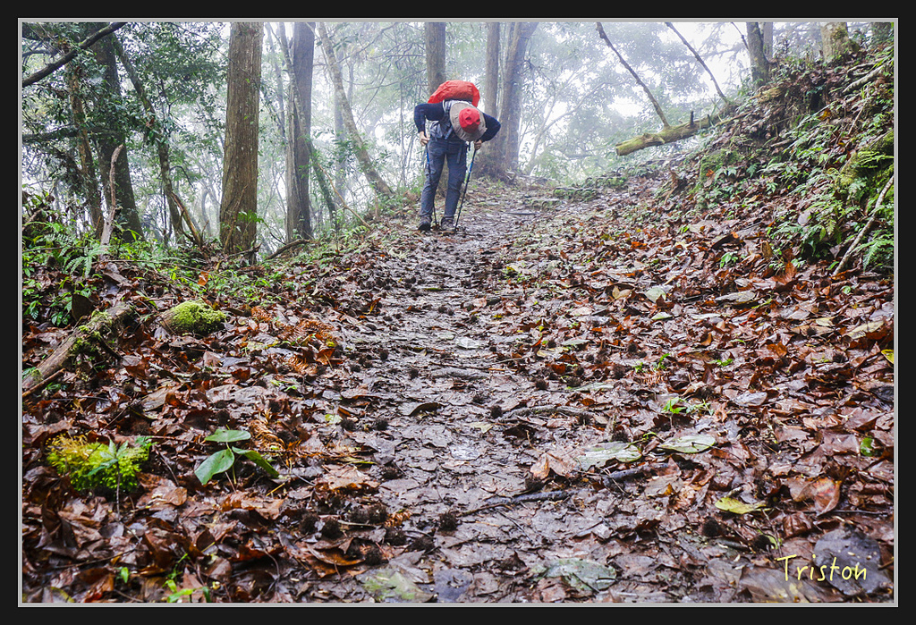 2017-02-27 10.03.53 下午 _MG_0452.jpg - 20170225 玉里瓦拉米