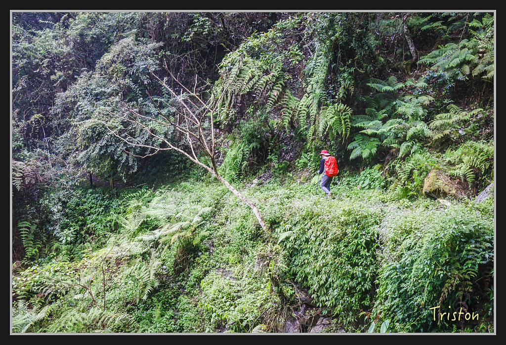 2017-02-27 10.03.53 下午 _MG_0457.jpg - 20170225 玉里瓦拉米