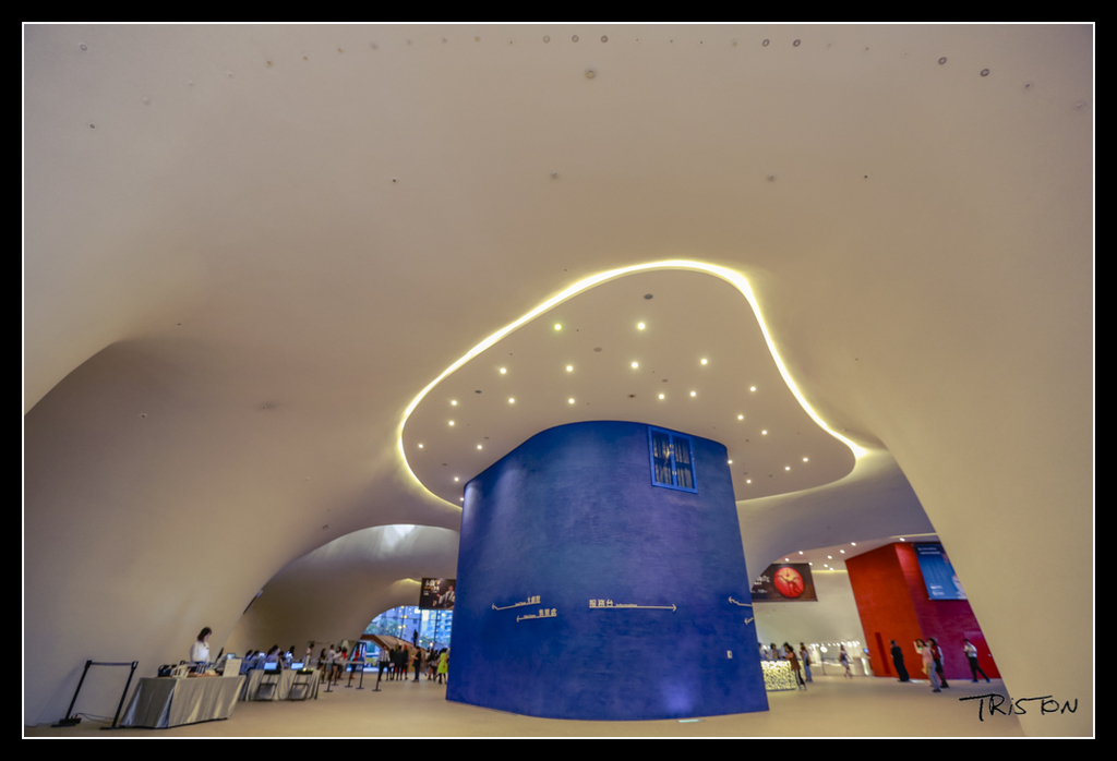 _H1A4355.jpg - 20170520 台中輕旅行-審記新村、忠信市場、國家歌劇院