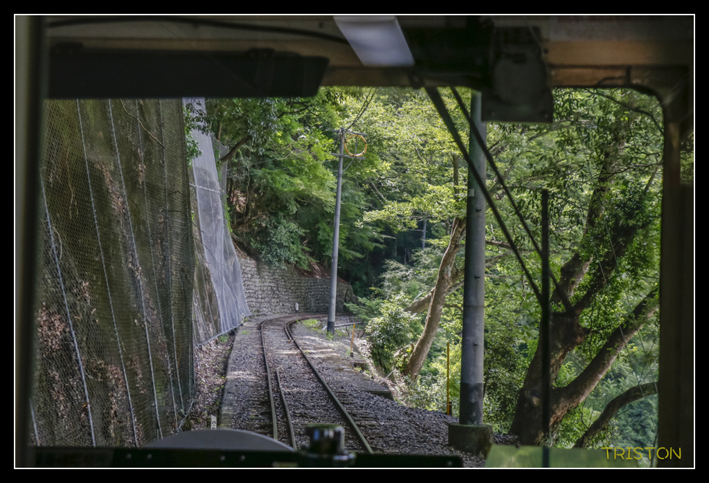 _MG_0430.jpg - 20170702 靜岡東海道之旅