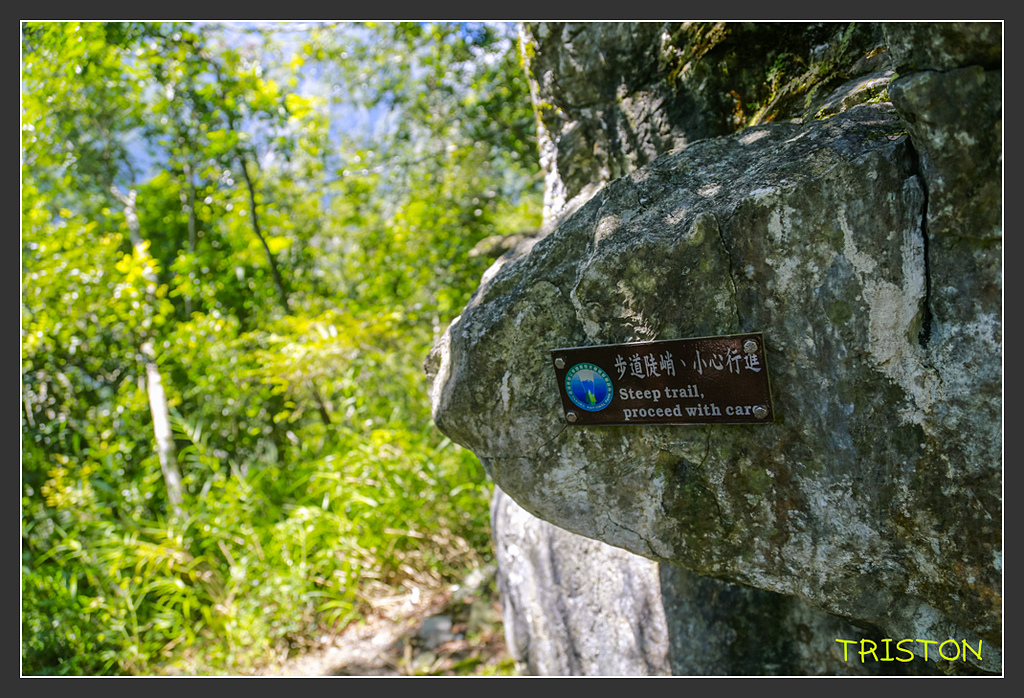 _H1A6340.jpg - 20170901 戀戀台九線