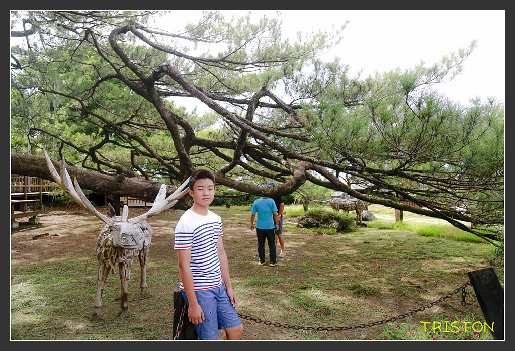 _H1A6544.jpg - 20170901 戀戀台九線