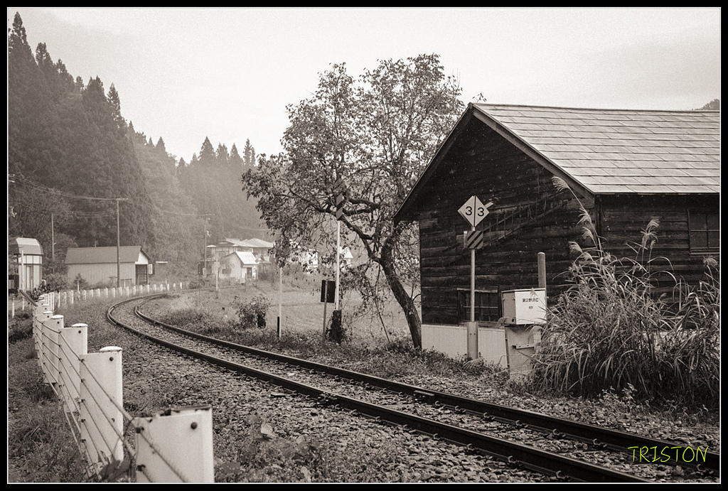 _H1A0359.jpg - 20171103 日本只見線、會津若松五色沼、昭和記念公園賞紅葉