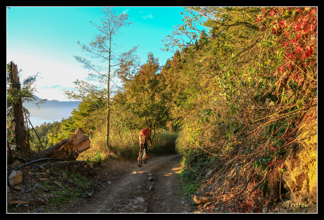 JH1A0896.jpg - 20151205 合歡溪步道、108K楓之谷