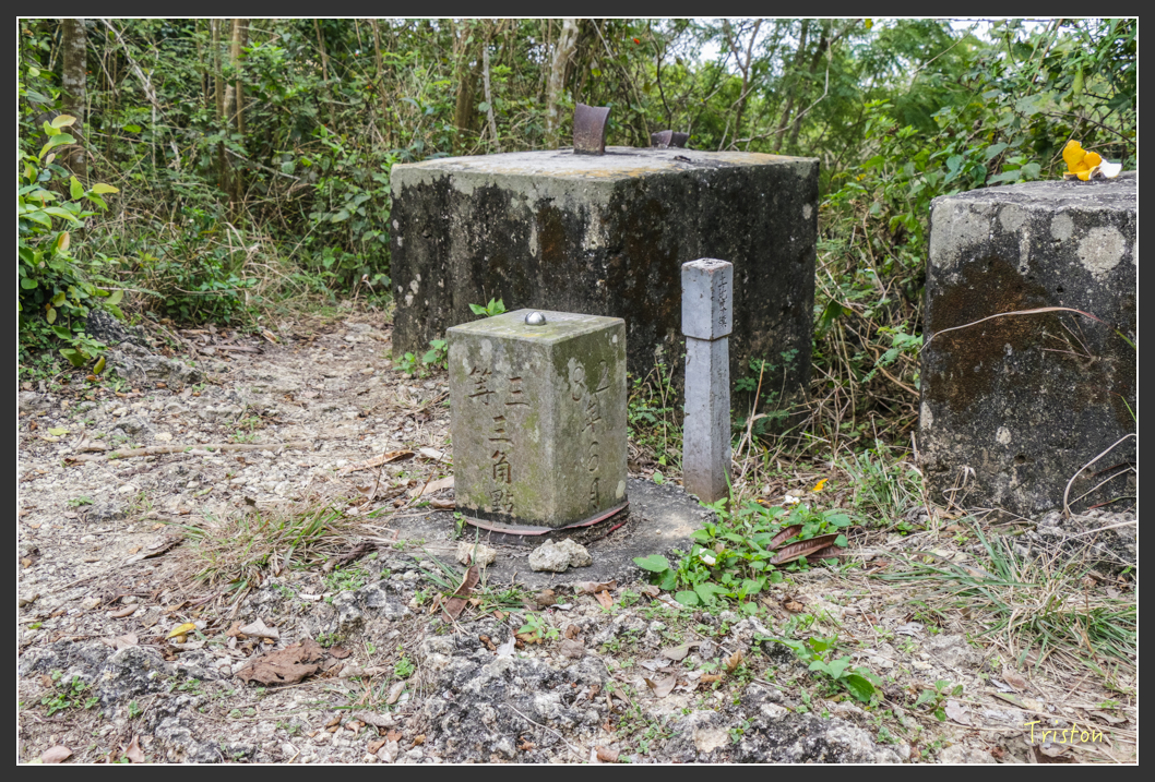 IMG_3198.jpg - 20160220 小崗山健行步道