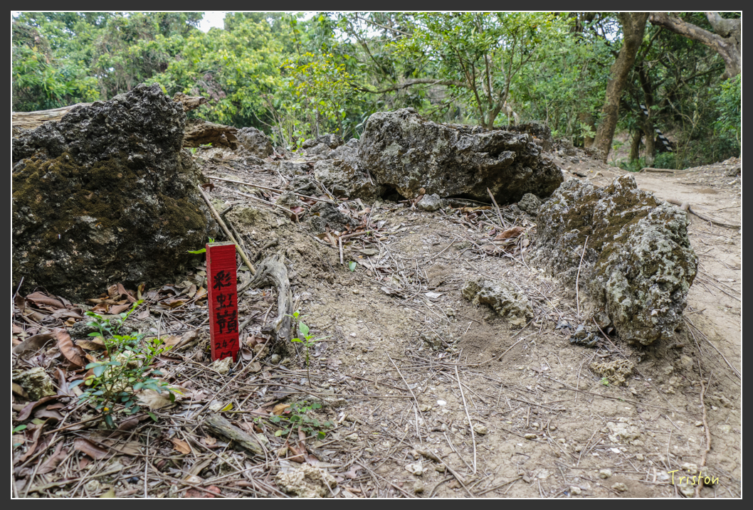 IMG_3188.jpg - 20160220 小崗山健行步道