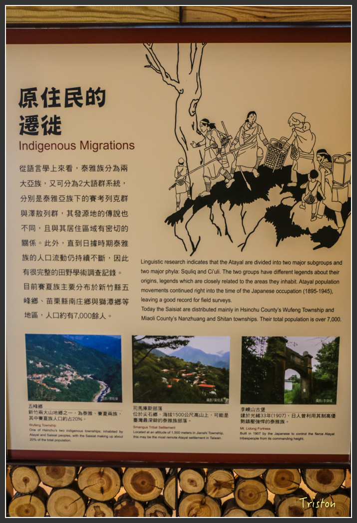 IMG_3249.jpg - 20160227 觀霧森林步道