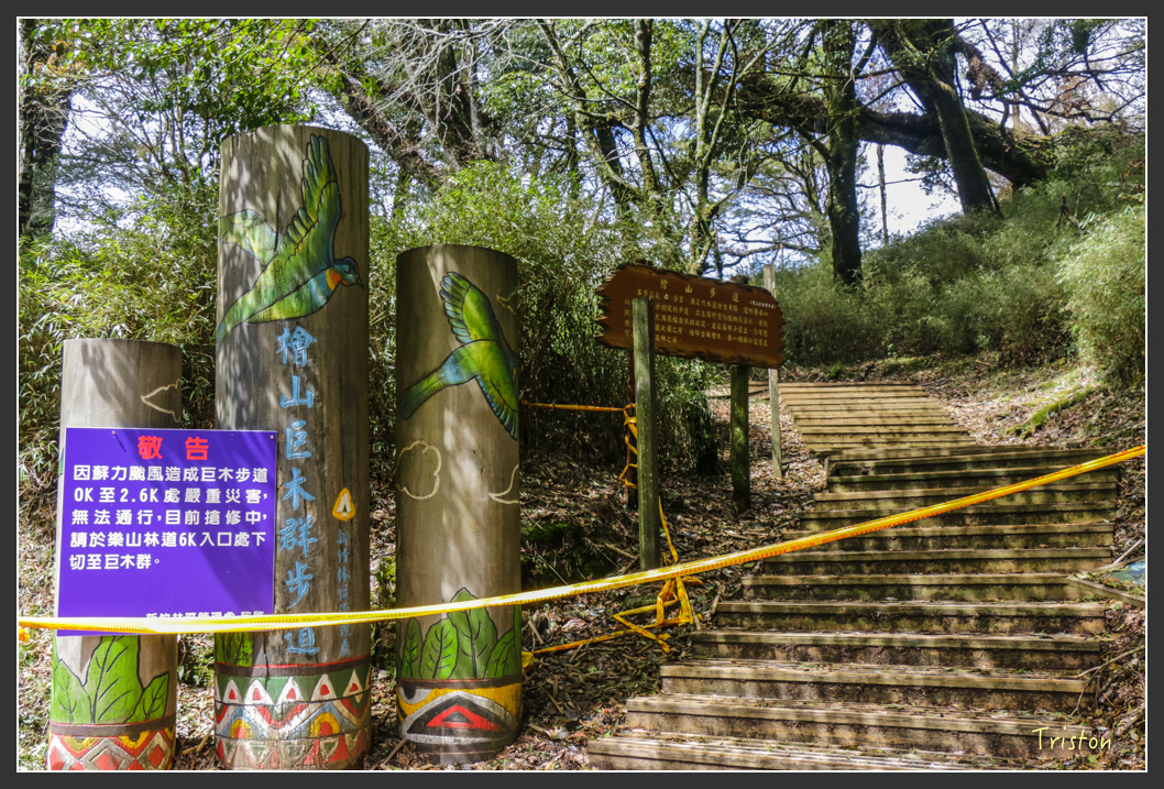 IMG_3421.jpg - 20160227 觀霧森林步道