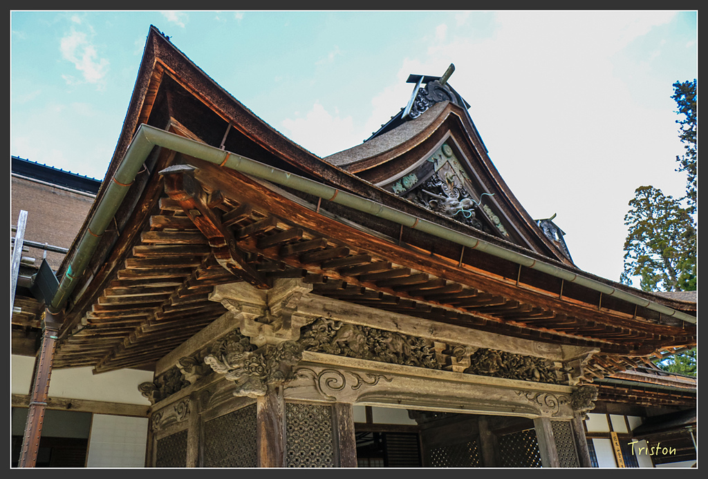 IMG_4509.jpg - 20160323 日本熊野古道健行