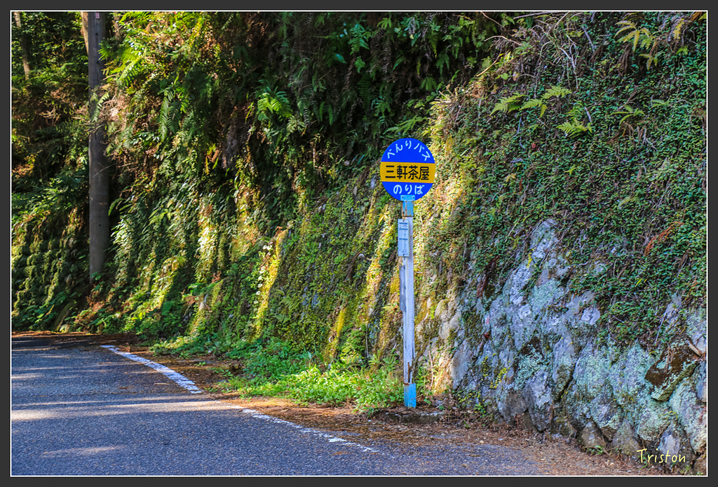 IMG_4833.jpg - 20160323 日本熊野古道健行