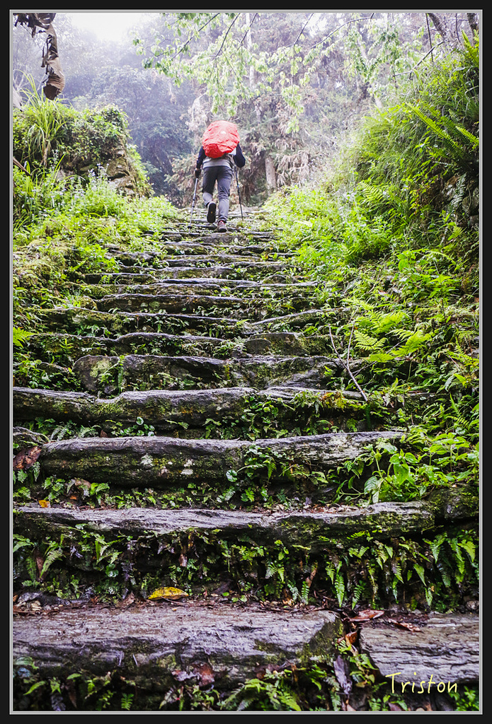 2017-02-27 10.03.53 下午 _MG_0499.jpg - 20170225 玉里瓦拉米
