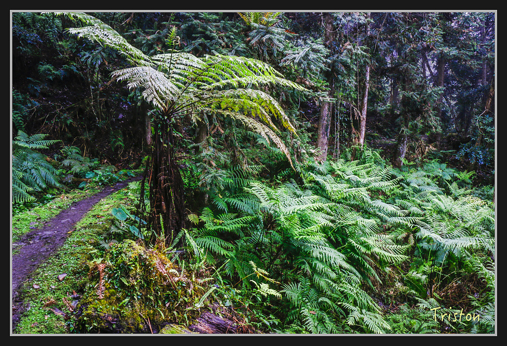 2017-02-27 10.03.53 下午 _MG_0462.jpg - 20170225 玉里瓦拉米