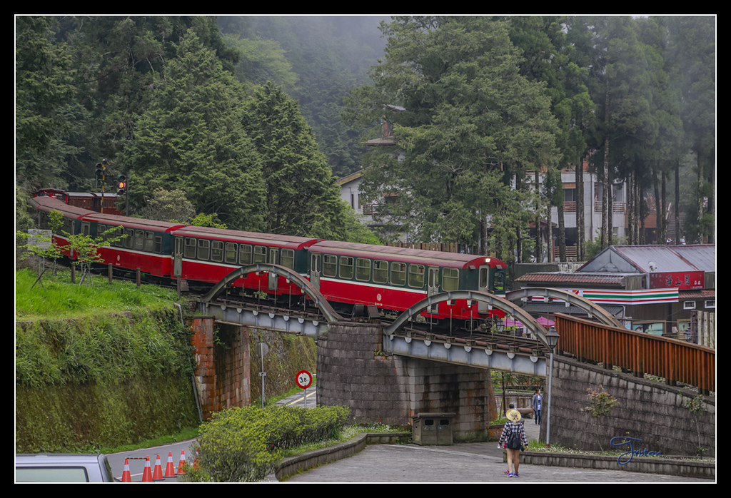 _H1A3784.jpg - 20170425 阿里山+圓潭螢火蟲