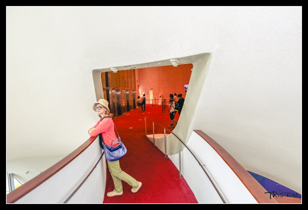 _H1A4291.jpg - 20170520 台中輕旅行-審記新村、忠信市場、國家歌劇院