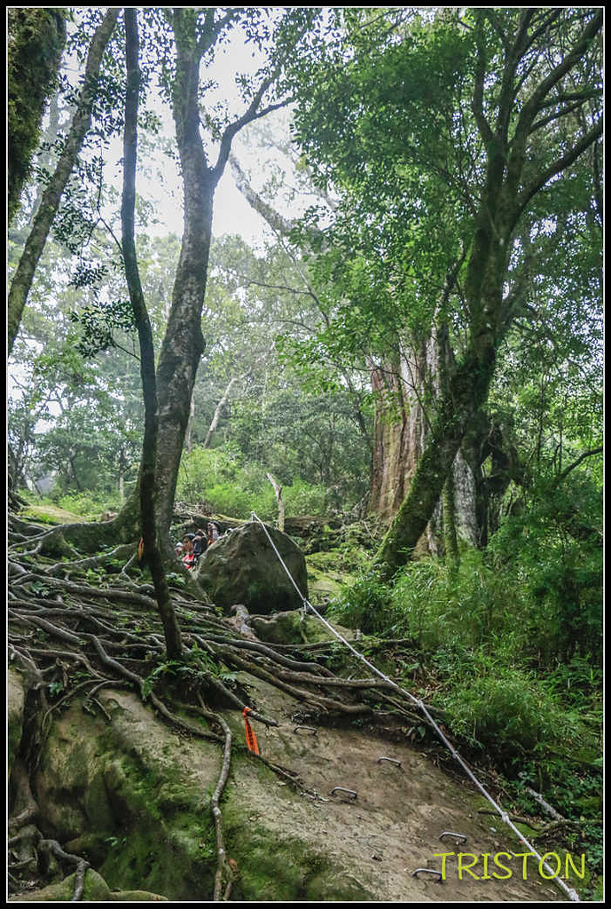 _MG_0138.jpg - 20170920 加里山