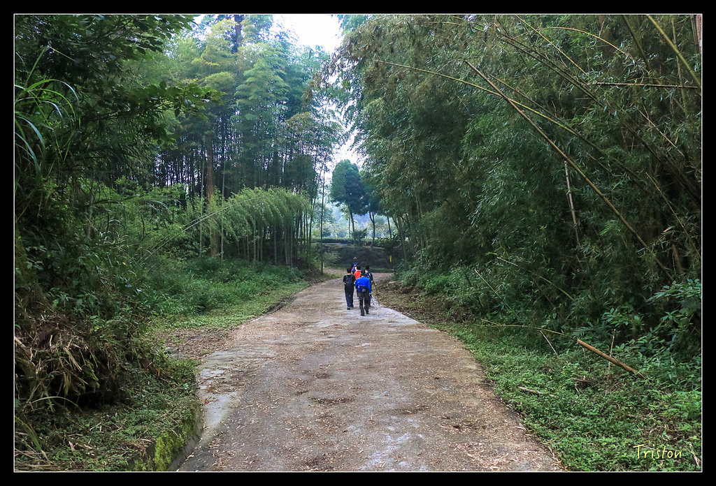 IMG_8358.jpg - 20150926 大凍山切霹靂山 抵龍雲山莊