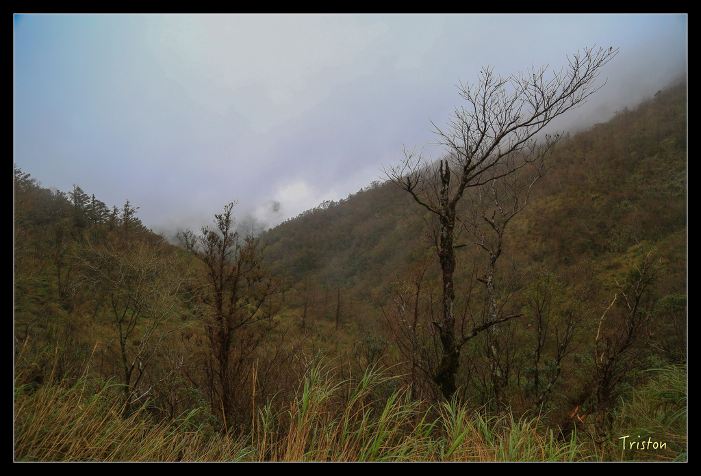 JH1A0174.jpg - 20151024~25 幾米公園、翠峰湖、翠峰山屋、望洋山步道、山毛櫸步道