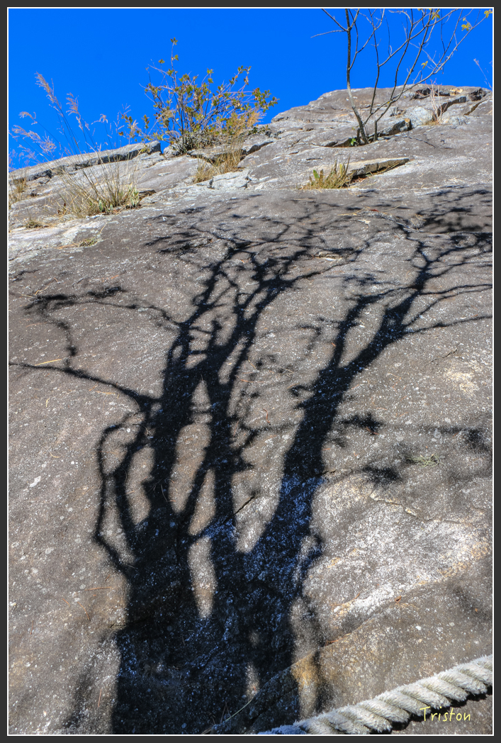 IMG_0511.jpg - 20151219 鳶嘴稍來山、小雪山林道