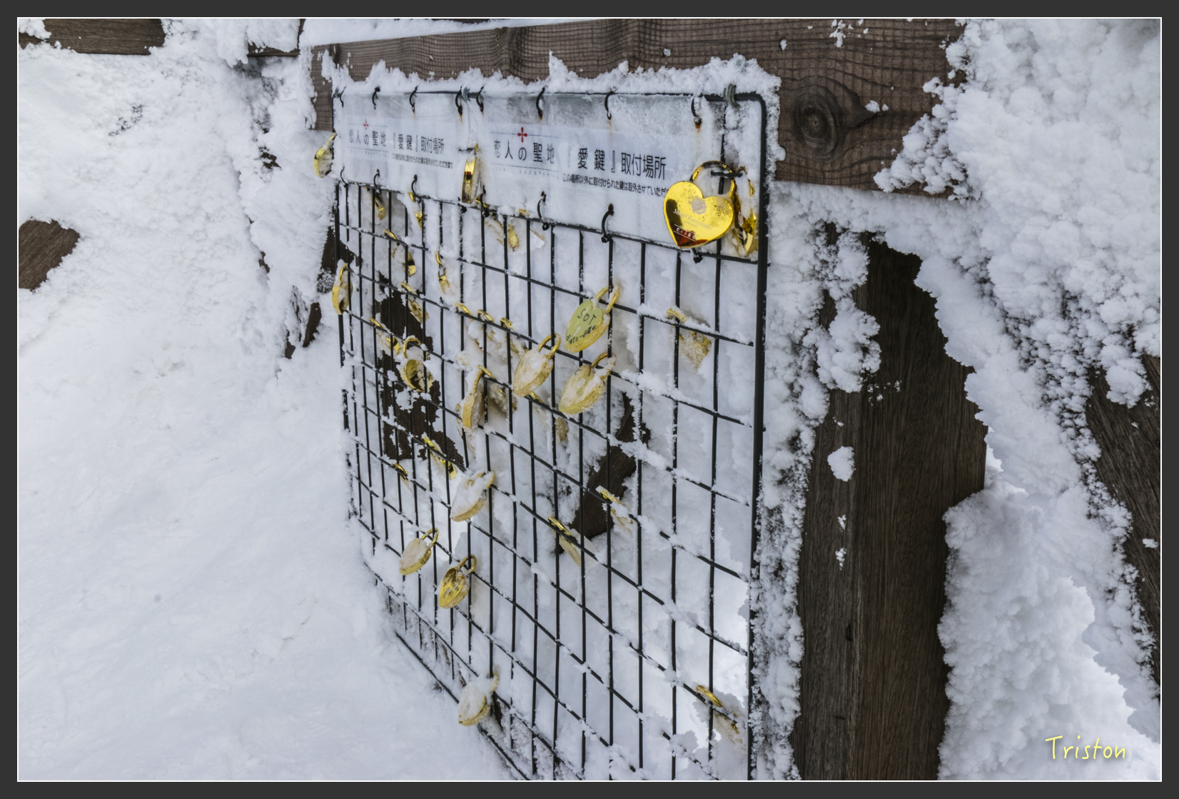 2016ZAO-01694.jpg - 20160131 日本藏王溫泉滑雪親子行