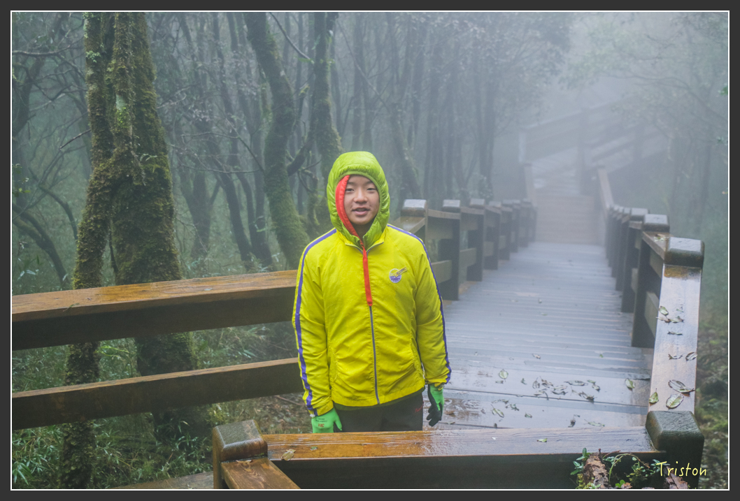 IMG_3253.jpg - 20160227 觀霧森林步道