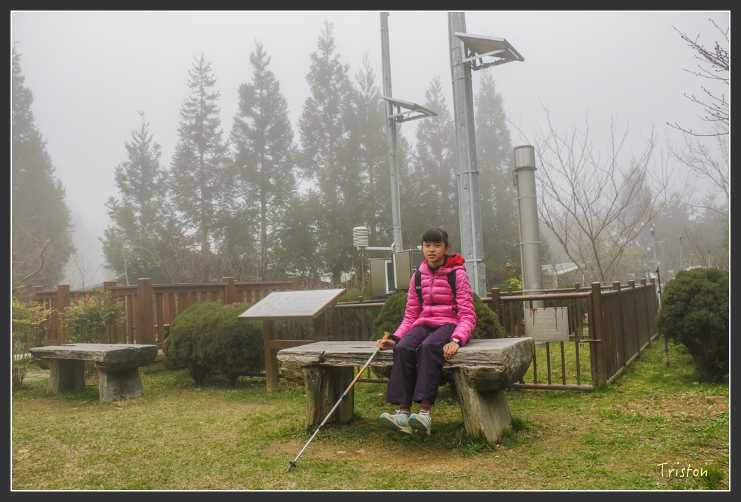 IMG_3436.jpg - 20160227 觀霧森林步道