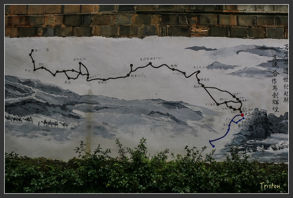 IMG_6596.jpg - 20160409 武夷山之旅