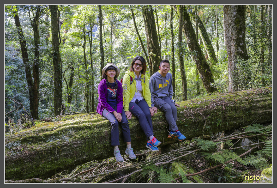 JH1A0533.jpg - 20161105 大雪山