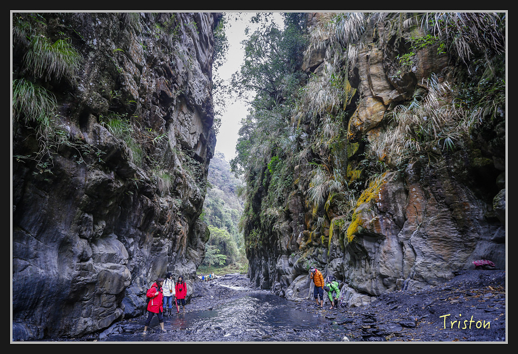 _H1A1922.jpg - 20170212 武界 萬大電廠 奧萬大