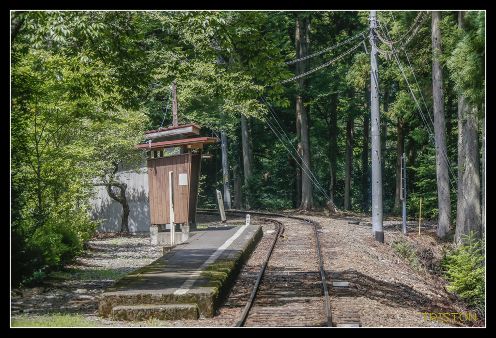 _MG_0444.jpg - 20170702 靜岡東海道之旅