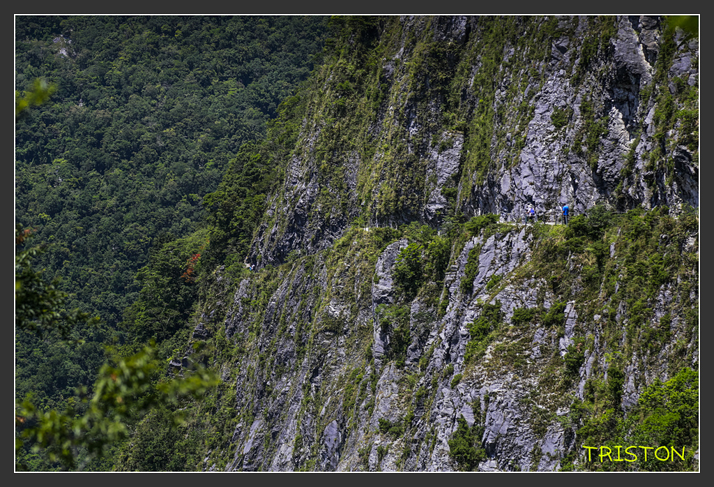 _H1A6455.jpg - 20170901 戀戀台九線