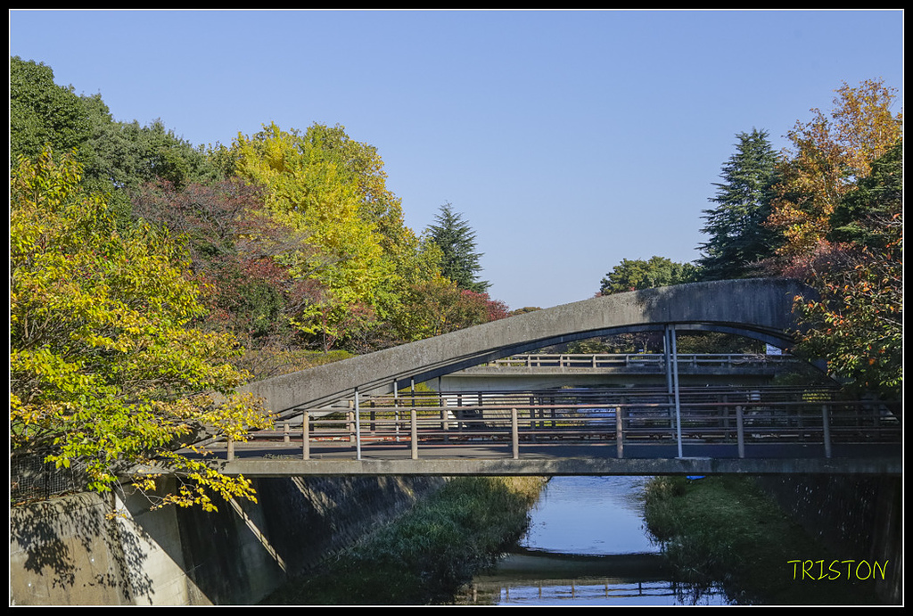_H1A1522.jpg - 20171103 日本只見線、會津若松五色沼、昭和記念公園賞紅葉