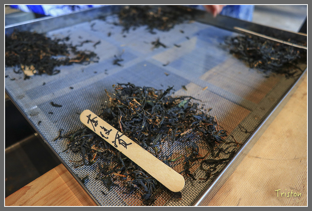 IMG_2232.jpg - 20180802 樂野山芙蓉揉茶,阿將咖啡的家