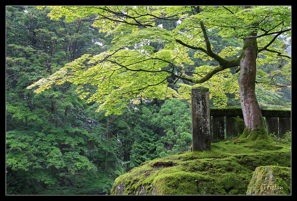 JH1A9947.jpg - 20150628 東京輕井澤日光