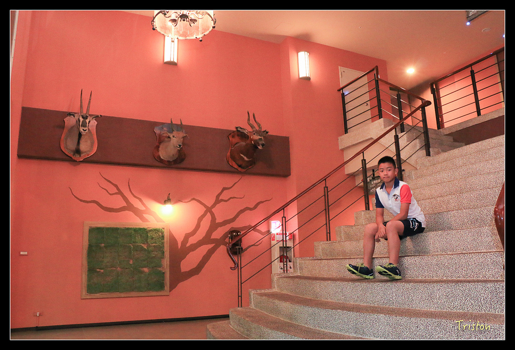 IMG_8109.jpg - 20150717 台北兒童新樂園 六福村