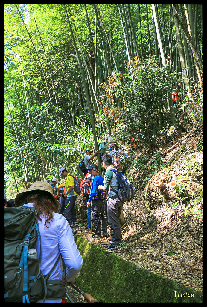 IMG_8281.jpg - 20150926 大凍山切霹靂山 抵龍雲山莊
