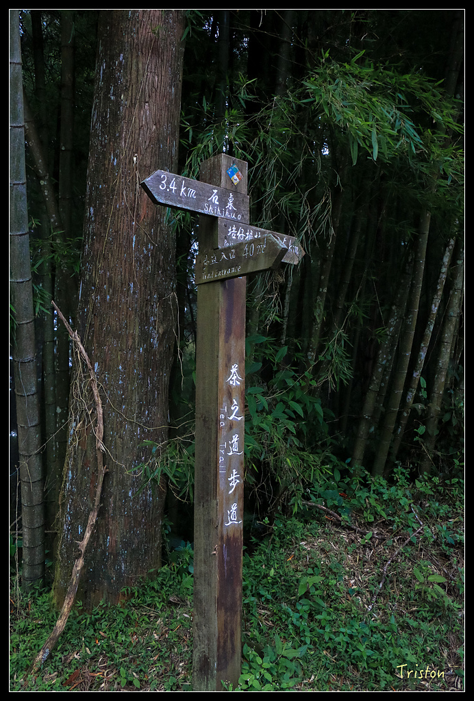 IMG_8359.jpg - 20150926 大凍山切霹靂山 抵龍雲山莊