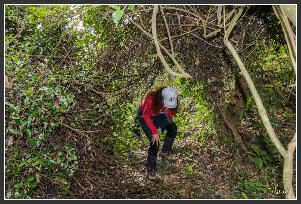 IMG_3199.jpg - 20160220 小崗山健行步道
