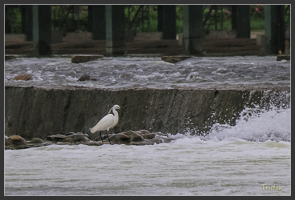 IMG_6812.jpg - 20160409 武夷山之旅