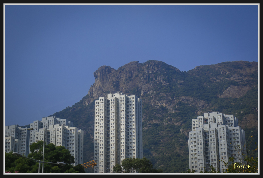 00373.jpg - 20170107 香港健行