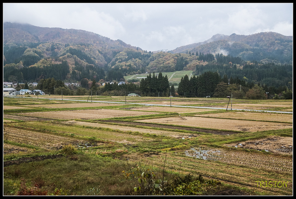 _H1A0268.jpg - 20171103 日本只見線、會津若松五色沼、昭和記念公園賞紅葉
