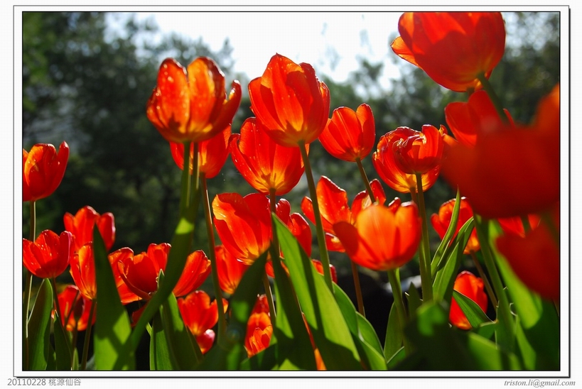 20110228 桃源仙谷:2011-02-28 10-01-40-146.jpg