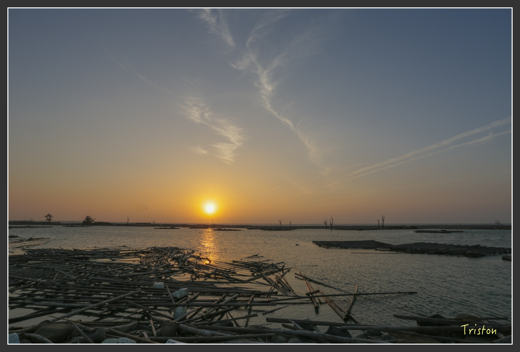 JH1A8103.jpg - 20160101 溪州落羽松 白水湖