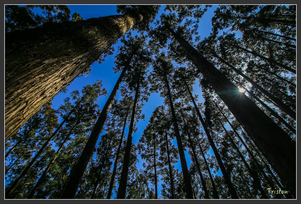 IMG_4728.jpg - 20160323 日本熊野古道健行