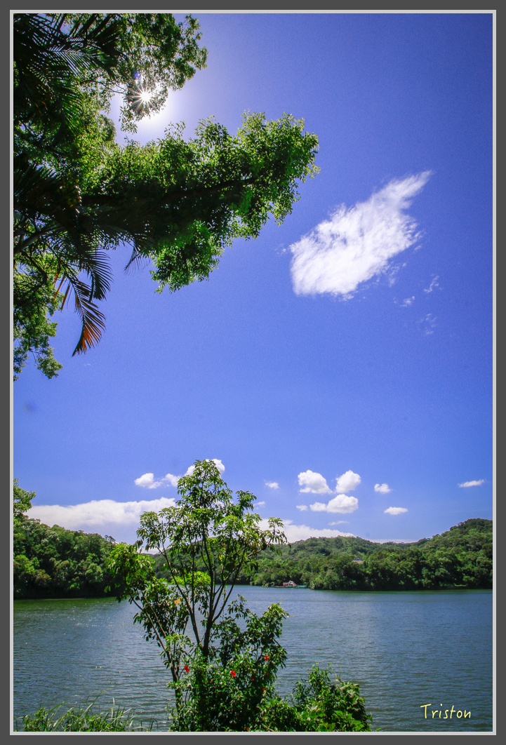 _MG_8872.jpg - 20160712 苗栗薰衣草森林